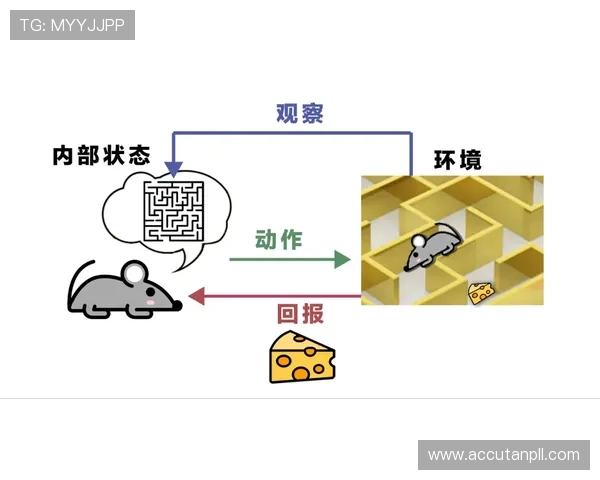 九游国际站安全保障措施：确保玩家个人信息与交易安全的全面解决方案
